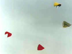 4kites